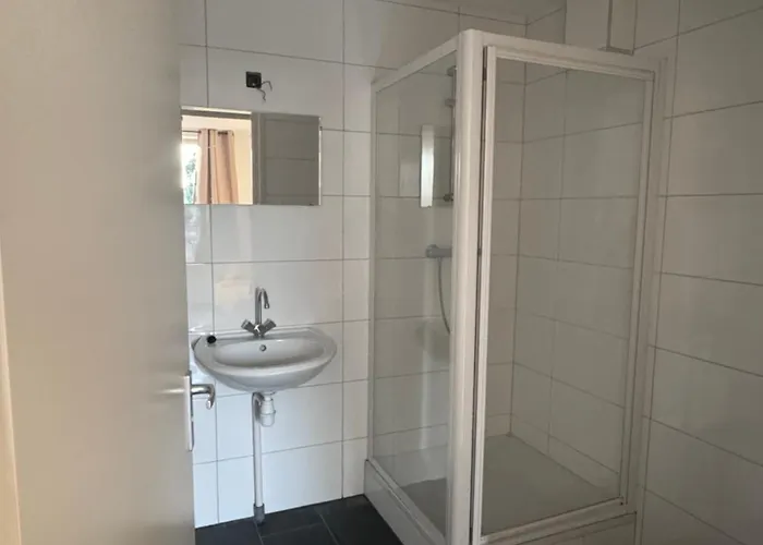 Short Klimop Nijmegen